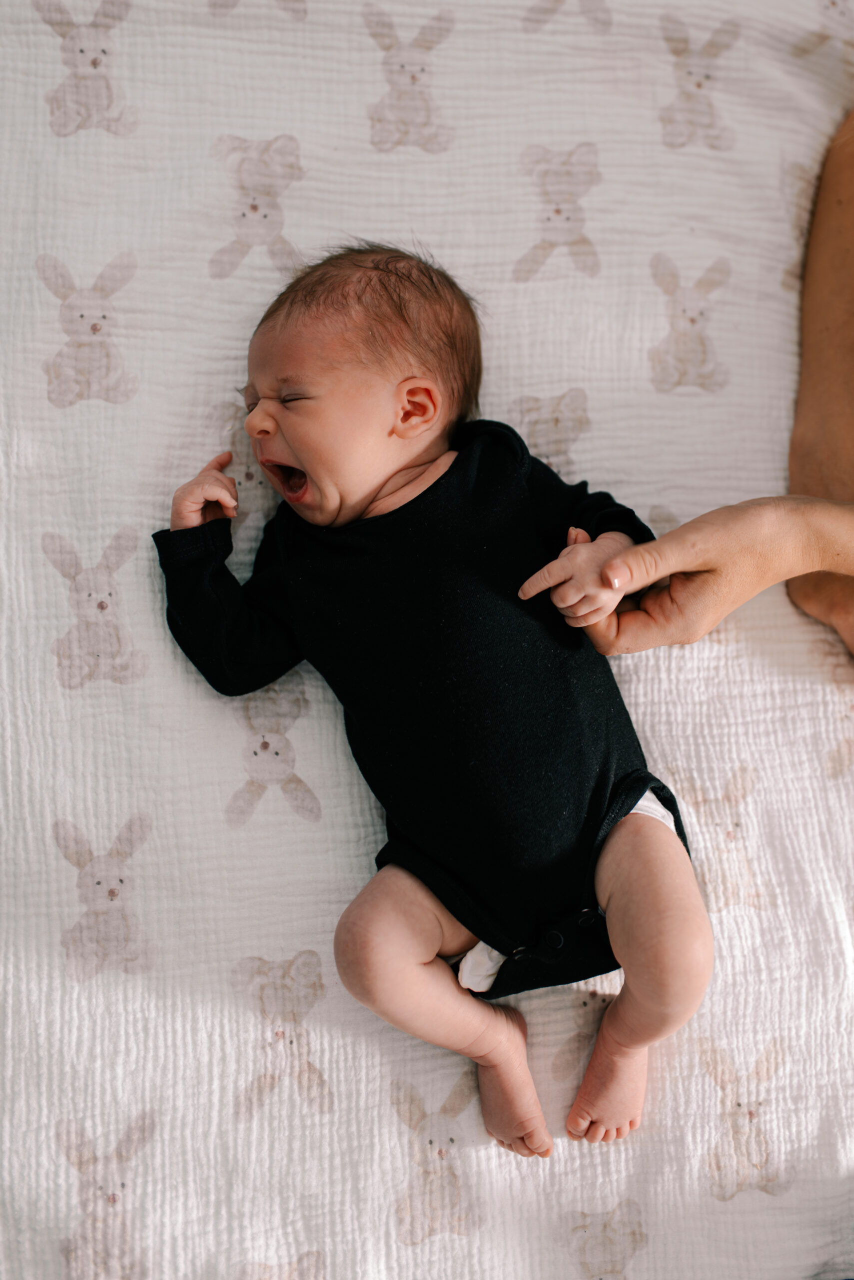 DSC_8247-Poprawione-Szum